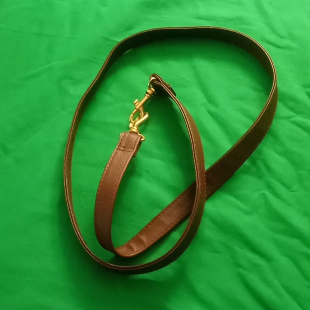 Purse/bag strap